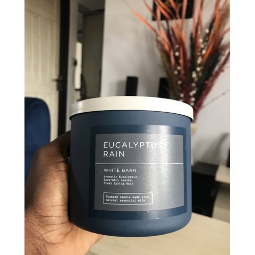 Eucalyptus Rain 3 Wick Candle