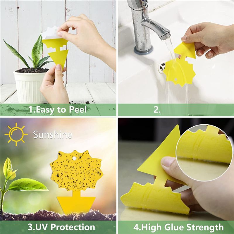 24 Pcs Sticky Traps for Fruit Fly,Whitefly,Fungus
