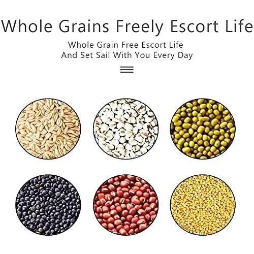 Rice & Grain Storage Dispenser Container - 12kg