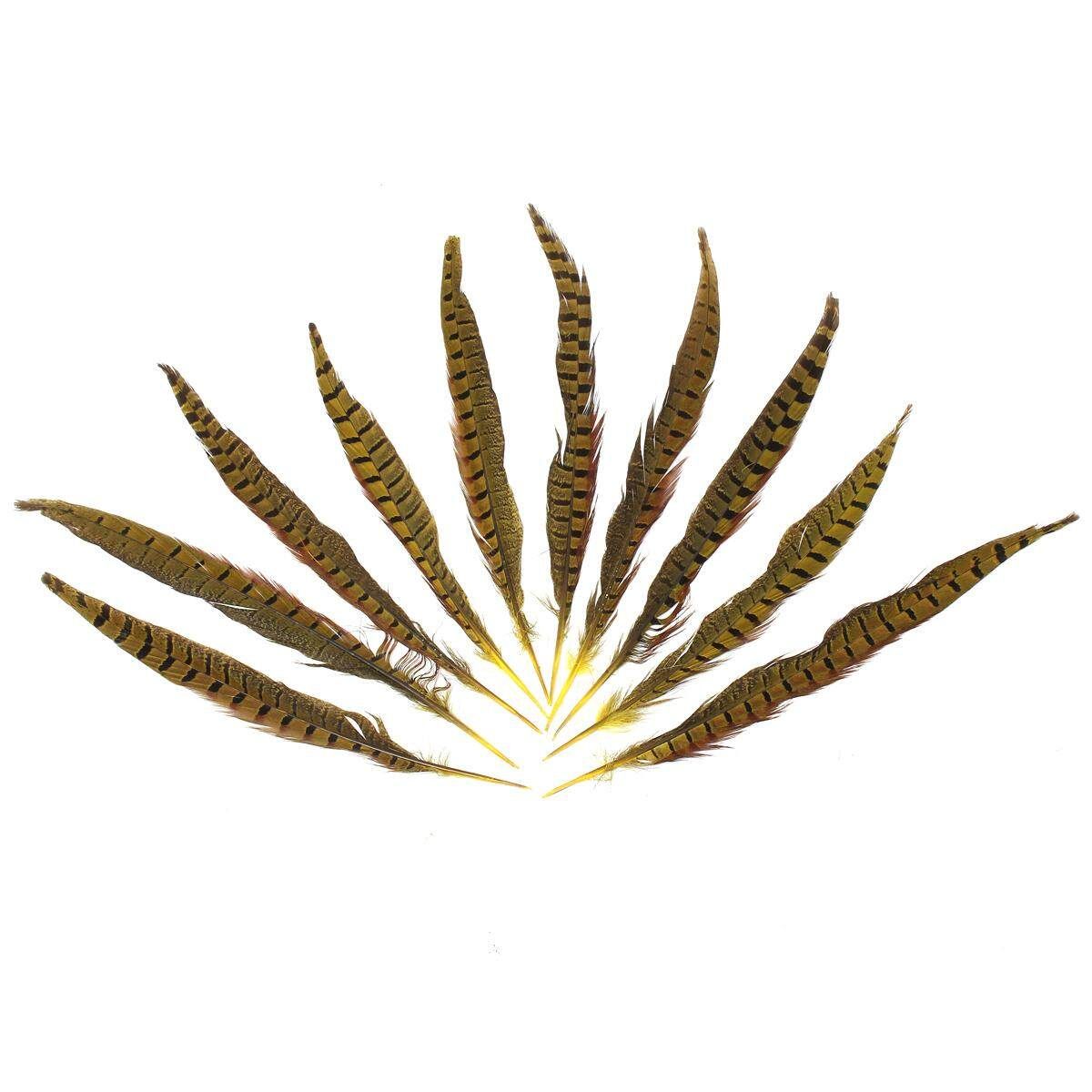 10Pcs Beautiful Pheasant Tail Feathers 12-14 Inch Long Costume Millinery Multicolor Egg Yellow
