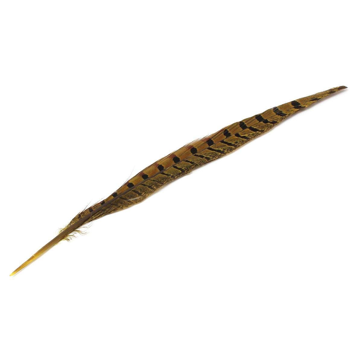 10Pcs Beautiful Pheasant Tail Feathers 12-14 Inch Long Costume Millinery Multicolor Egg Yellow