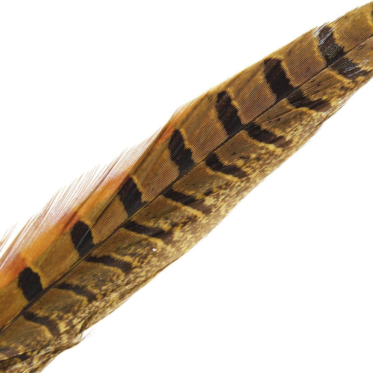10Pcs Beautiful Pheasant Tail Feathers 12-14 Inch Long Costume Millinery Multicolor Egg Yellow