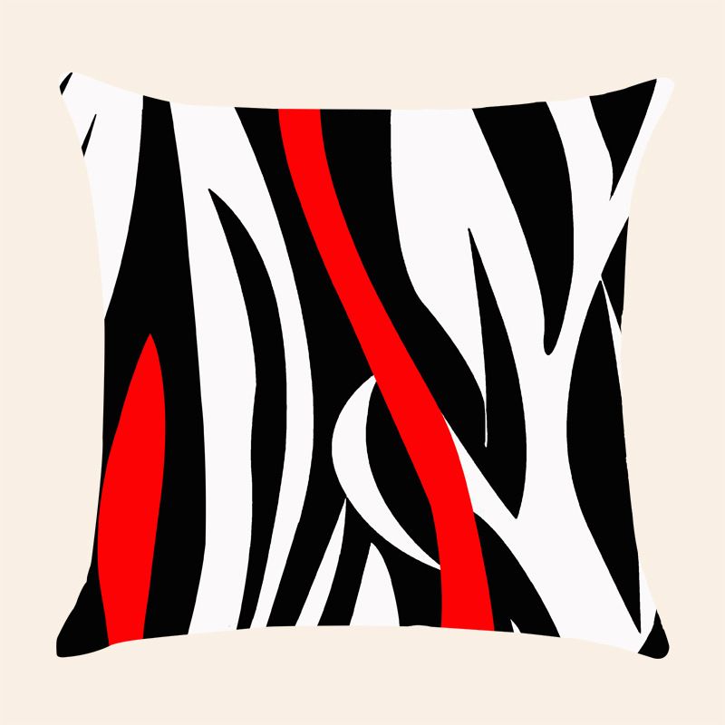 Throw Pillow Concept4