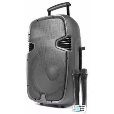 Rechargeable Bluetooth P.a 15