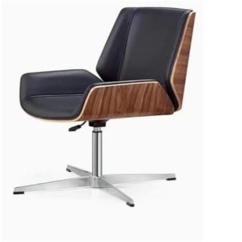 Luxury Chair