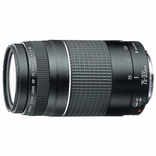 EF 75-300mm Lens For Canon