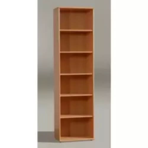 File Cabinet  And Book Shelf