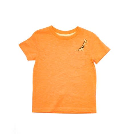 Boys Jungle T Shirts- Pack Of 3