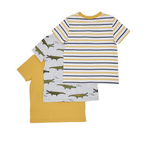 Boys Alligator T Shirt- Pack of 3