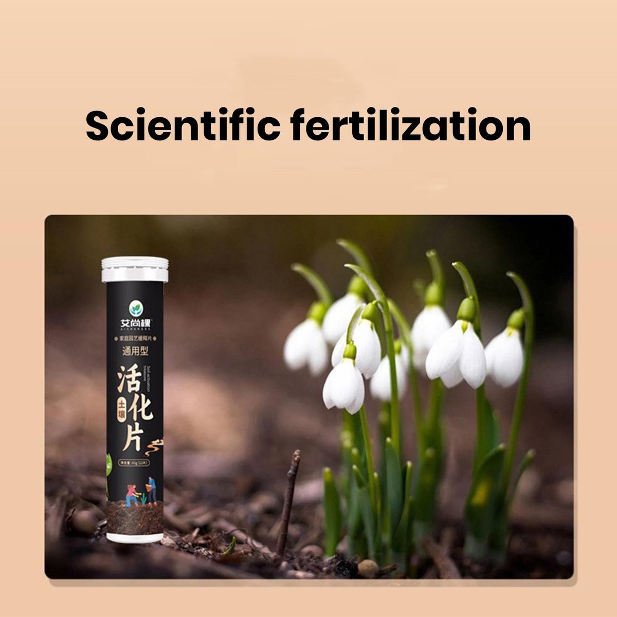 Soil Fertilizer Tablet Greenboost 22-count Soil Nutrient for Plants