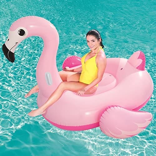 Pretty Pink Flamingo
