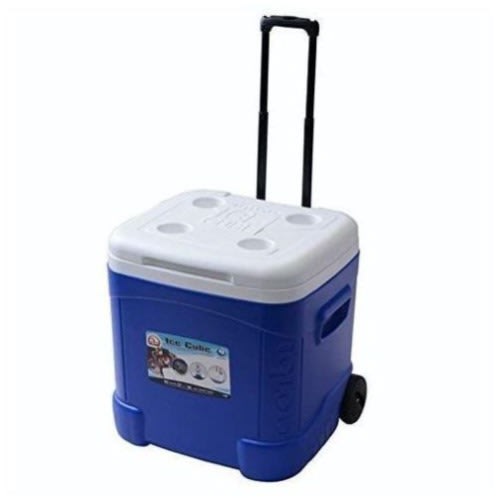 Igloo Cooler