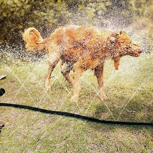 12M Children's Trampoline Sprinkler Durable