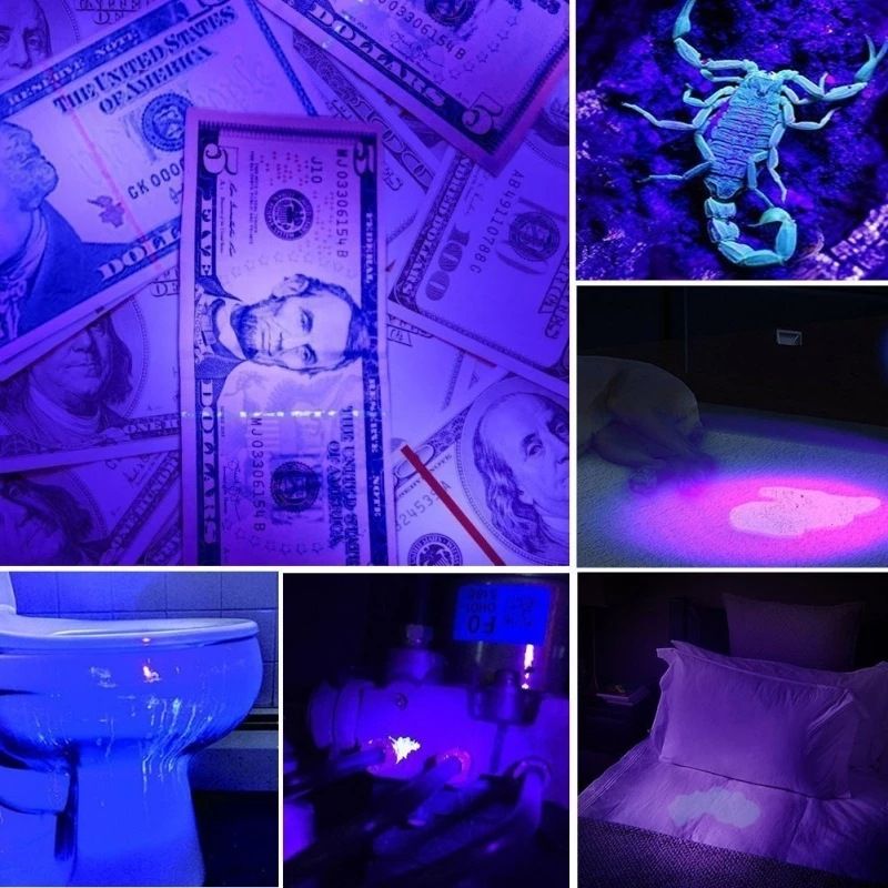 21LED UV Violet Light Flashlight Nail Lamp UV Fluorescent