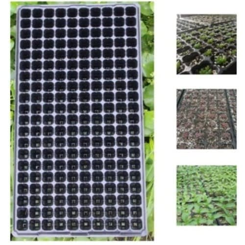 Nursery Seed Tray - 30 Pack - 200 Holes Or Cells
