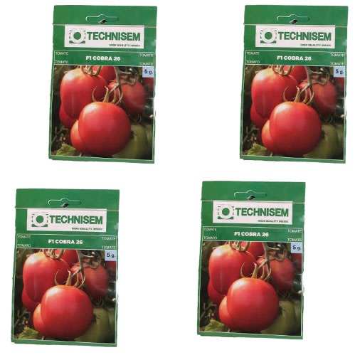 Hybrid Tomato Seeds (cobra 26 F1) - 5g - 4 Sachets