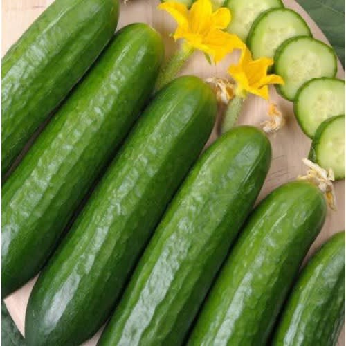 Marketmore Cucumber Seeds - 200 Grams - 2 Tins