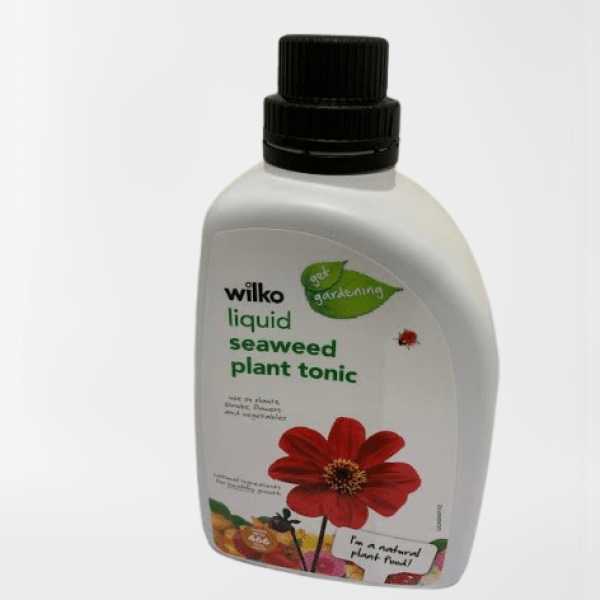 Seaweed Tonic - 1L