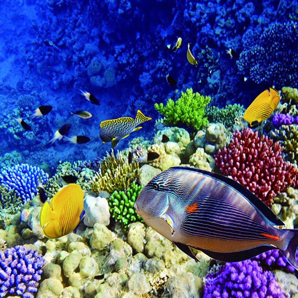 3D  Background Paper Wallpapers For Reptile