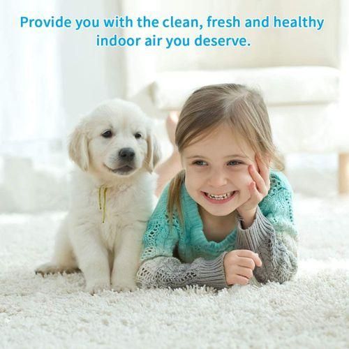 5 Pcs Pet Brushes Carpet Floor Roller Brush For