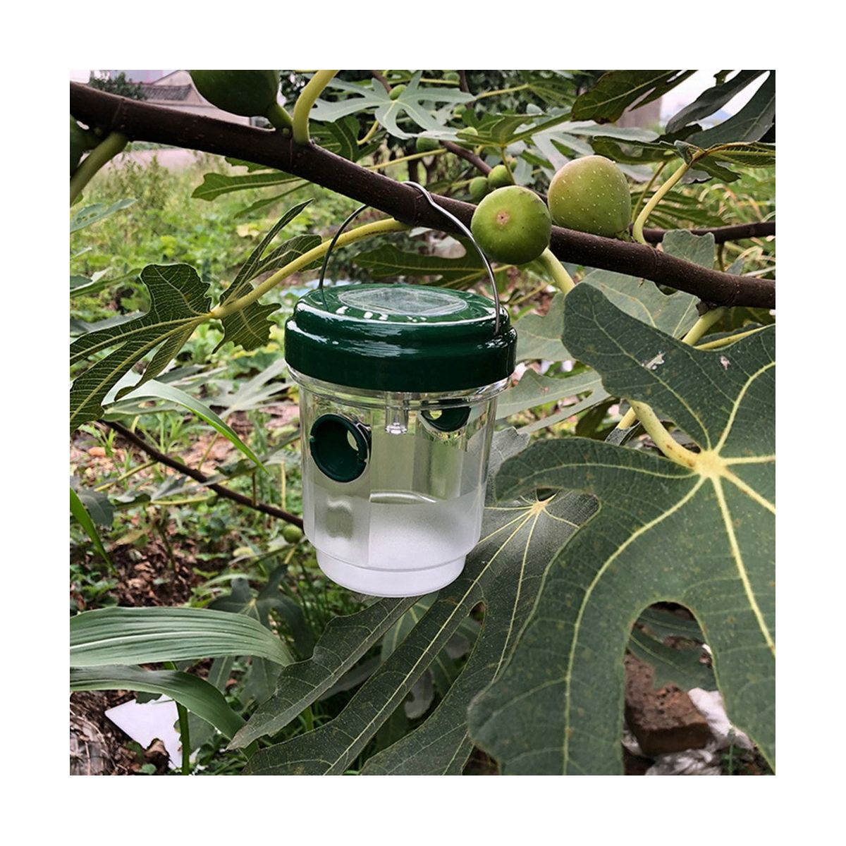 Bee Trap for Outdoors Solar Powered with LED Light,Hanging
