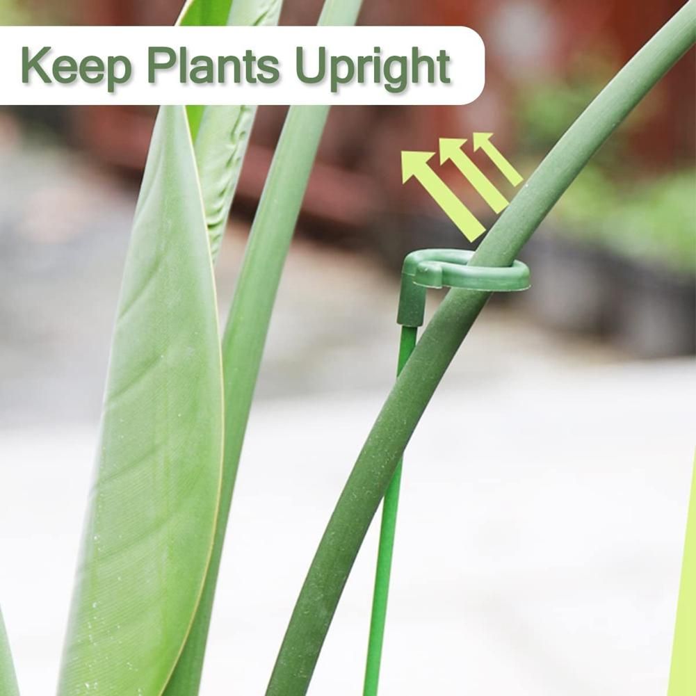 30 Pcs Plant Support Stakes with 30 Pcs Plant C