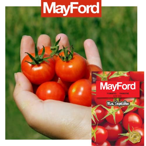 Cherry Tomato Seed- Bite Size - 2g