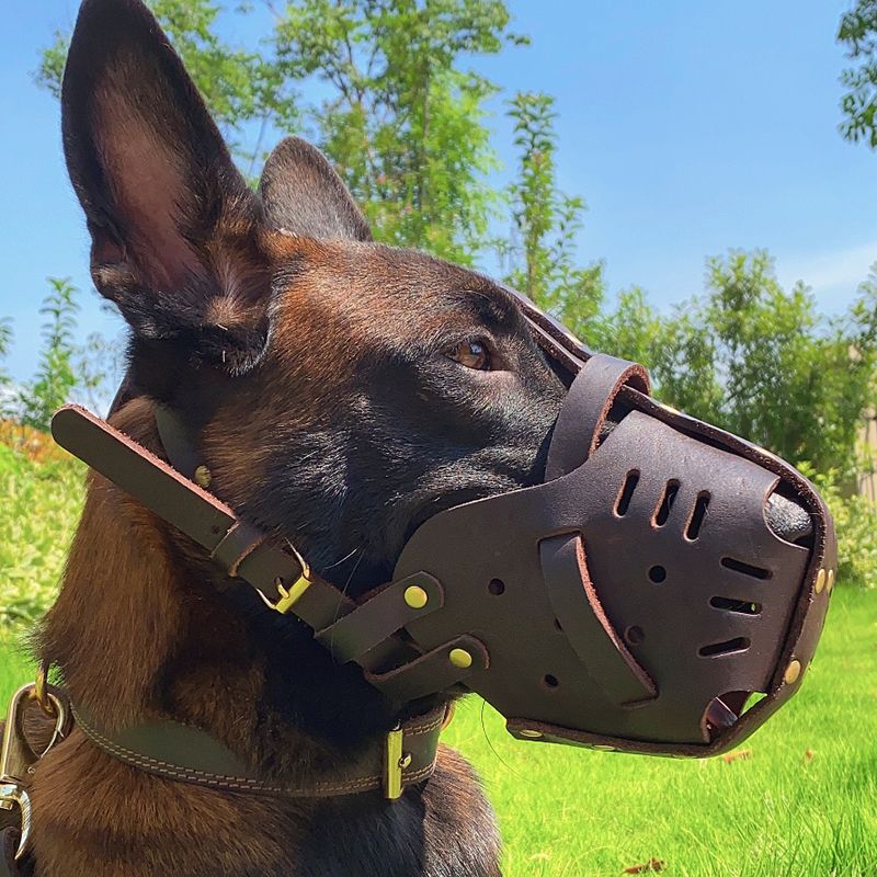 Funny Short Snout Greyhound Muzzle Homemade Leather Bulldog Muzzle Large Breed Jafco Dogs Basket Agitation Doberman Muzzle-Chocolate