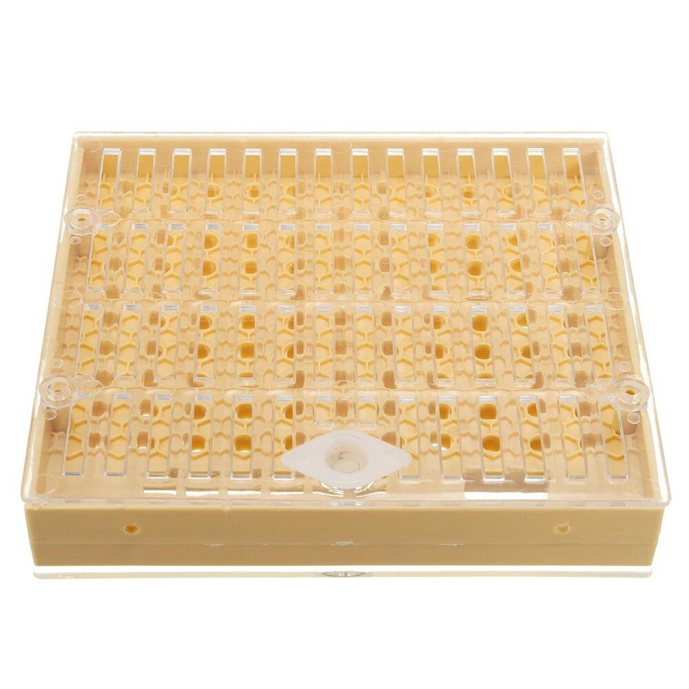 Cupkit Complete Bee Queen Rearing System Beekeeping Box Case Tool Set