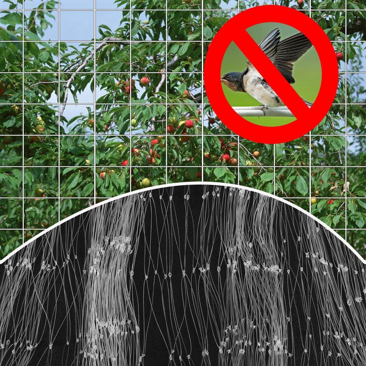 25X50FT AntiBird Netting Poultry Aviary Nylon Net Mesh For Fruit Tree Garden