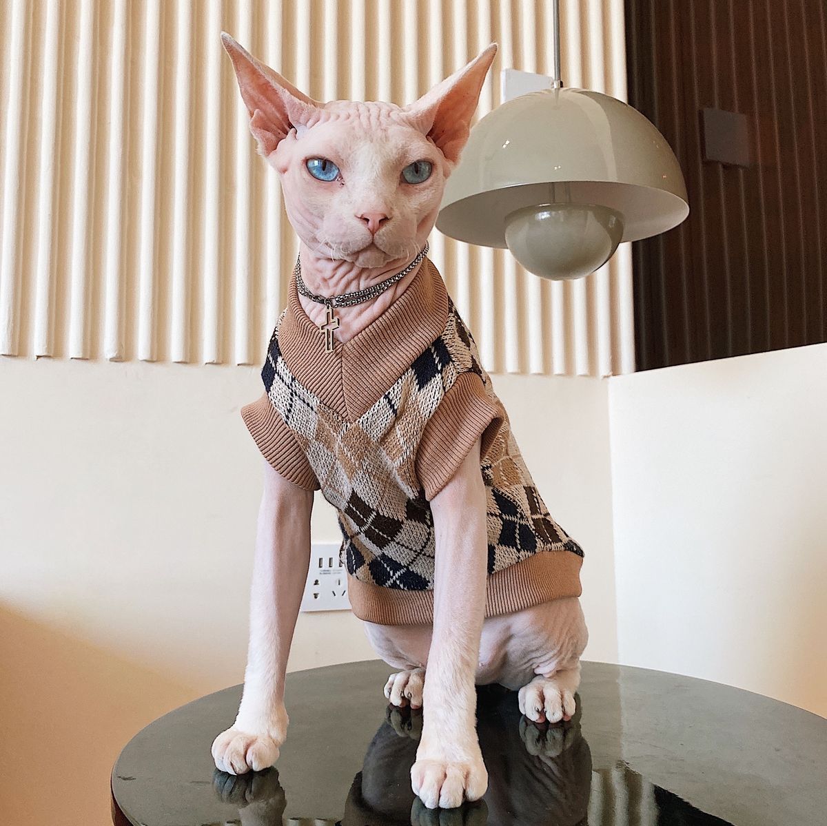 Hairless Cat Clothes Devon Autumn And Winter Sphinx Pet Warm-Sweater Vest
