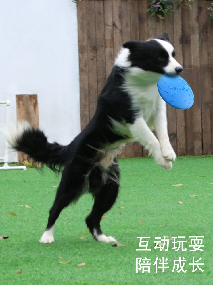 DogToy Flying Discs Silicone Saucer