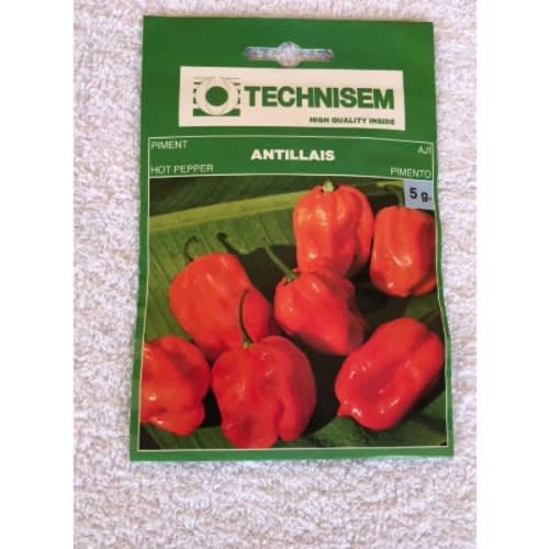 Technisem Hybrid Hot Pepper Seed ( Antillais ) - 5g