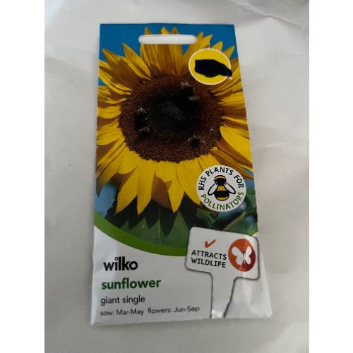 Sunflower-Giant Single-75 Seeds