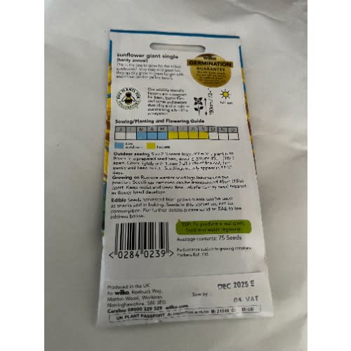 Sunflower-Giant Single-75 Seeds