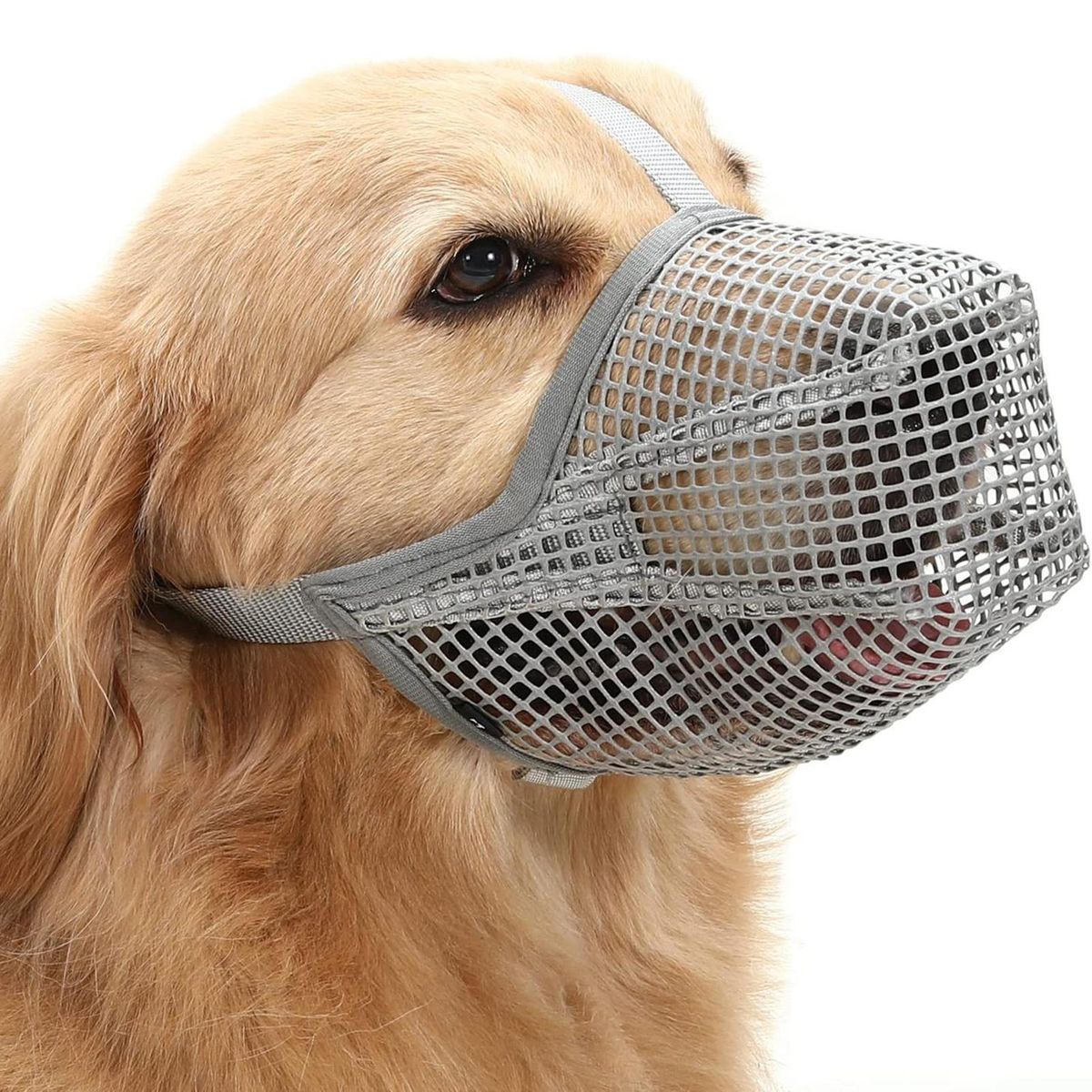 Dog Mouth Guard Pet Dog Anti-eating Face Cover Grey