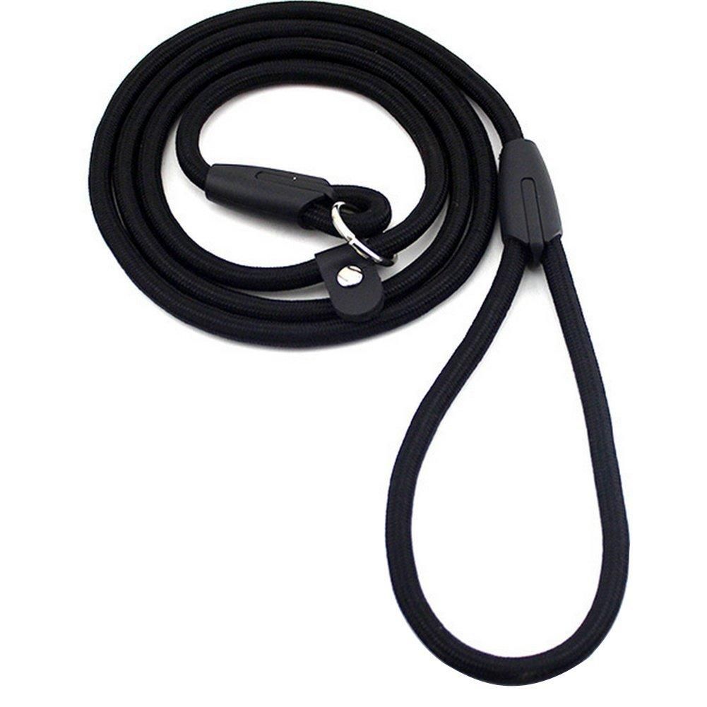 Nylon Dog Slip Training Walking Lead With P Chain 1cm