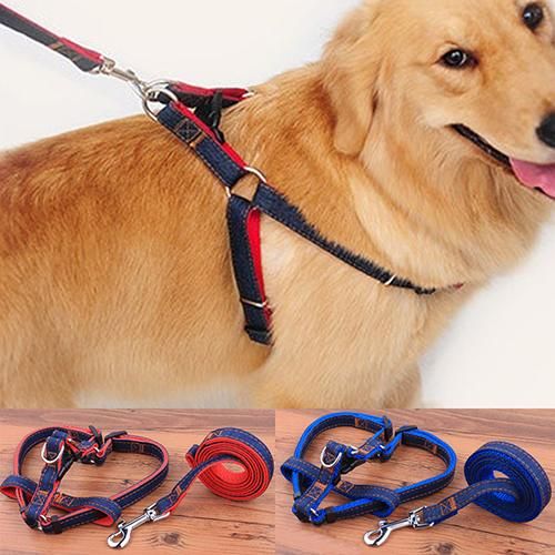 HOT SALES！！！New Arrival Pet Dogs Walking Hand Grip Straps