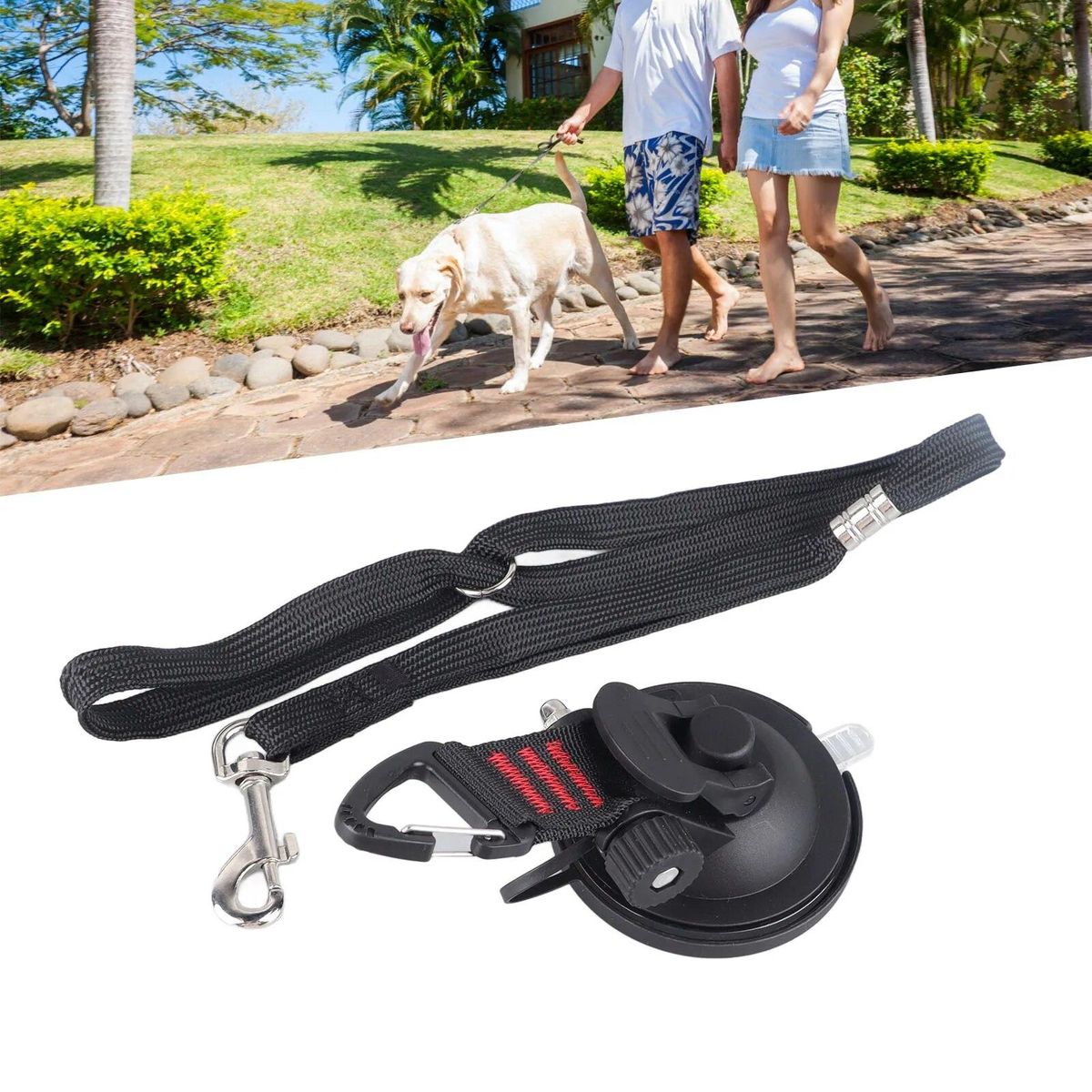 Dog Bathing Tether with Suction Cup Adjustable Collar Dog Tub Restraint Leash for Pet Dog Cat Shower and Grooming