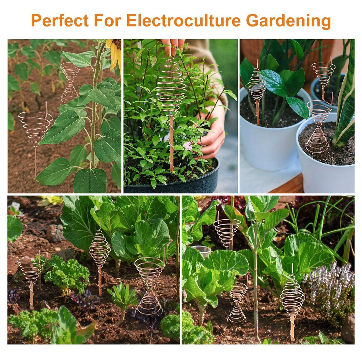 Flower Bed Antenna for Plants Wire Electroculture Gardening Set Boost