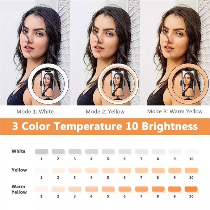 Photography ring light Mobile phone holder round light LED live broadcast fill light