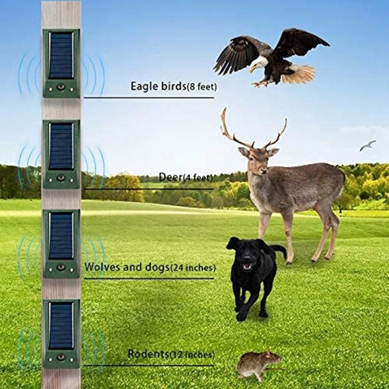 Ultrasonic Animal Outdoor Pest Dog Mouse Bird Catcockroach Insect Solar Repellent Flashing Red Light to Drive Wolf