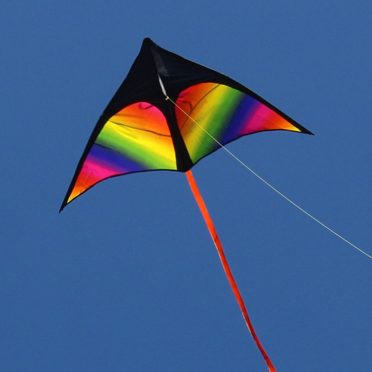 Giant Delta  Kite Windsock With String Triangle Kite