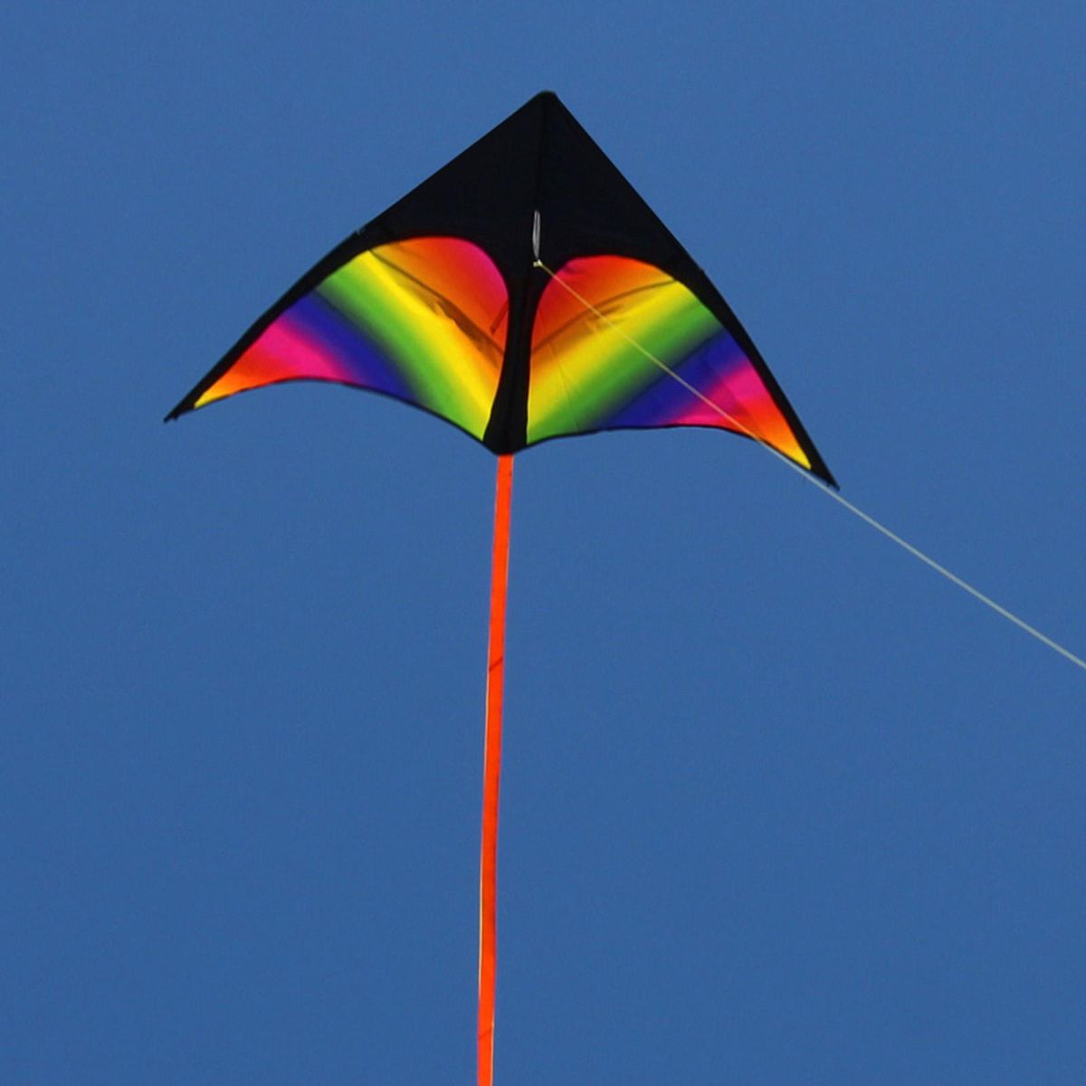Giant Delta  Kite Windsock With String Triangle Kite