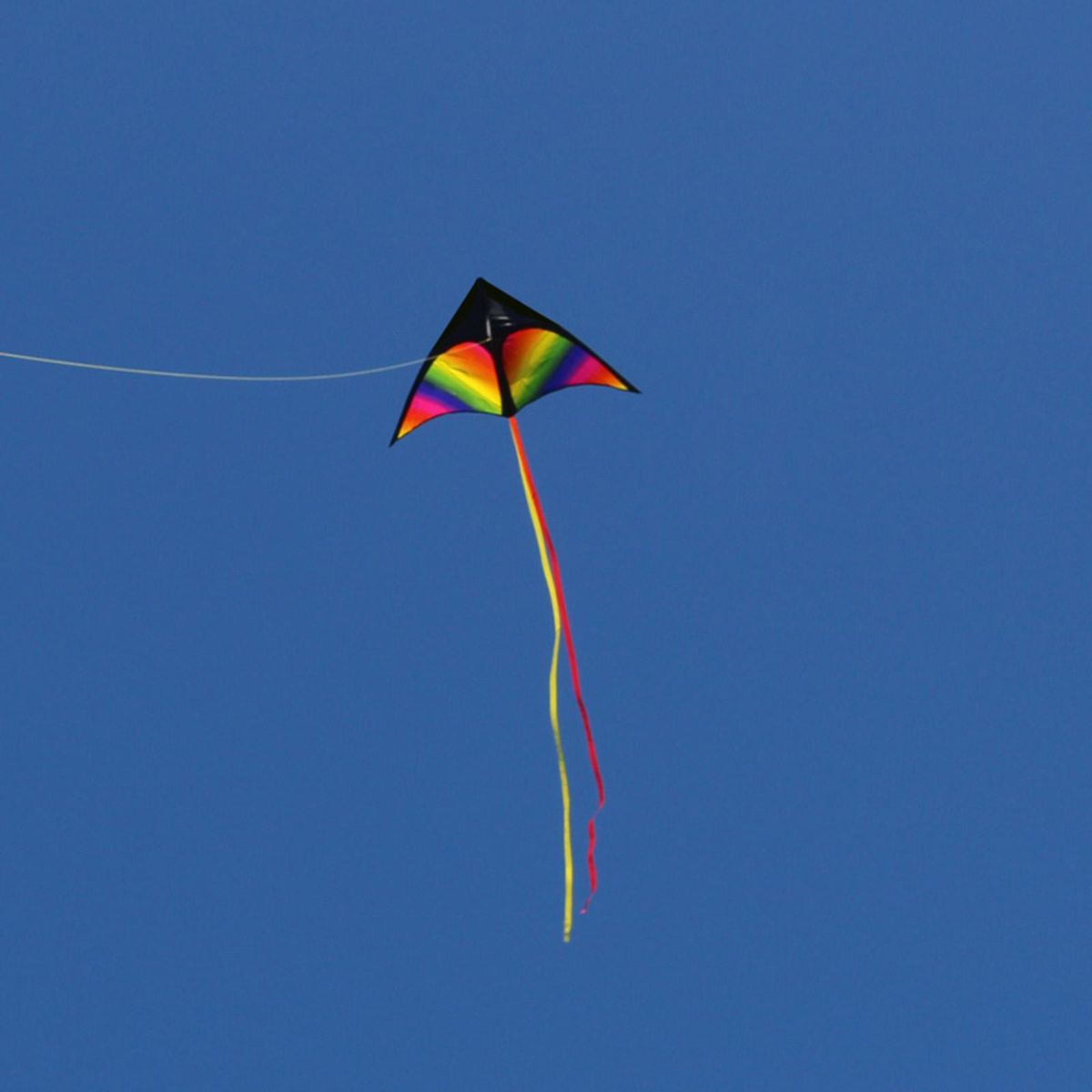 Giant Delta  Kite Windsock With String Triangle Kite