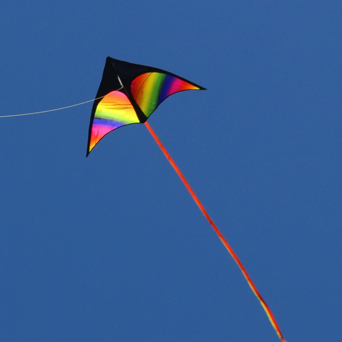 Giant Delta  Kite Windsock With String Triangle Kite