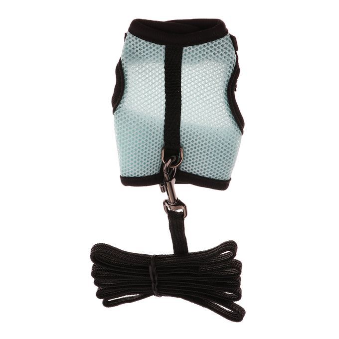 Adjustable Ferret Harness/Baby Rabbit/Squirrel/Hamster Rat Blue L
