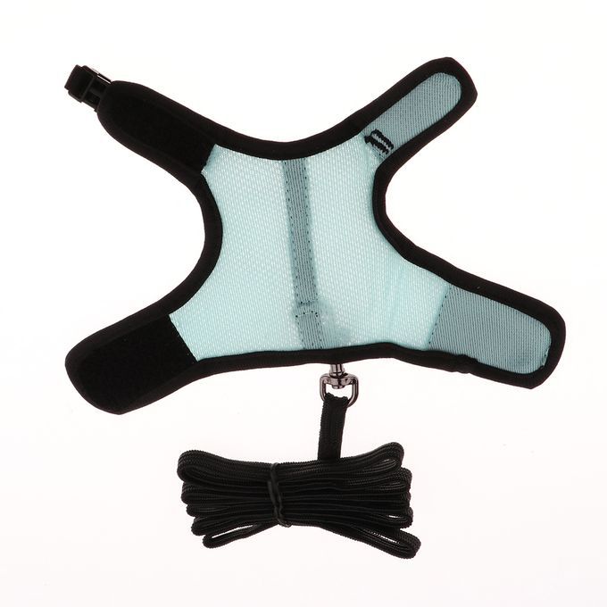Adjustable Ferret Harness/Baby Rabbit/Squirrel/Hamster Rat Blue L
