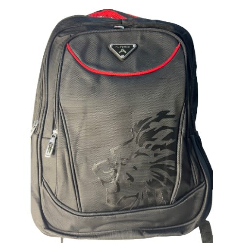 Unisex Smart Backpack
