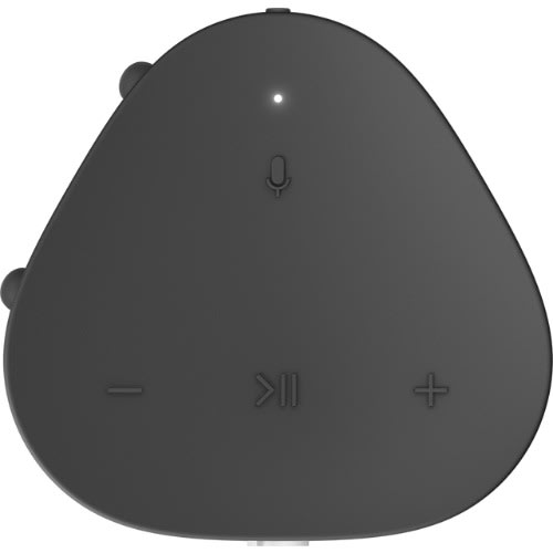 Roam Wireless Speaker - Black